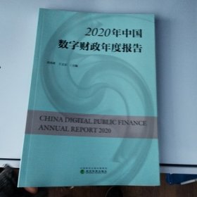 2020年中国数字财政年度报告