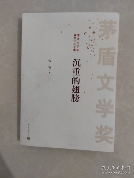 茅盾文学奖获奖作品全集：沉重的翅膀