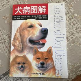 犬病图解