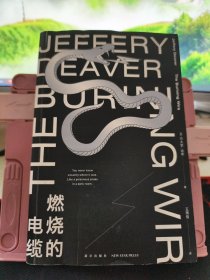 燃烧的电缆