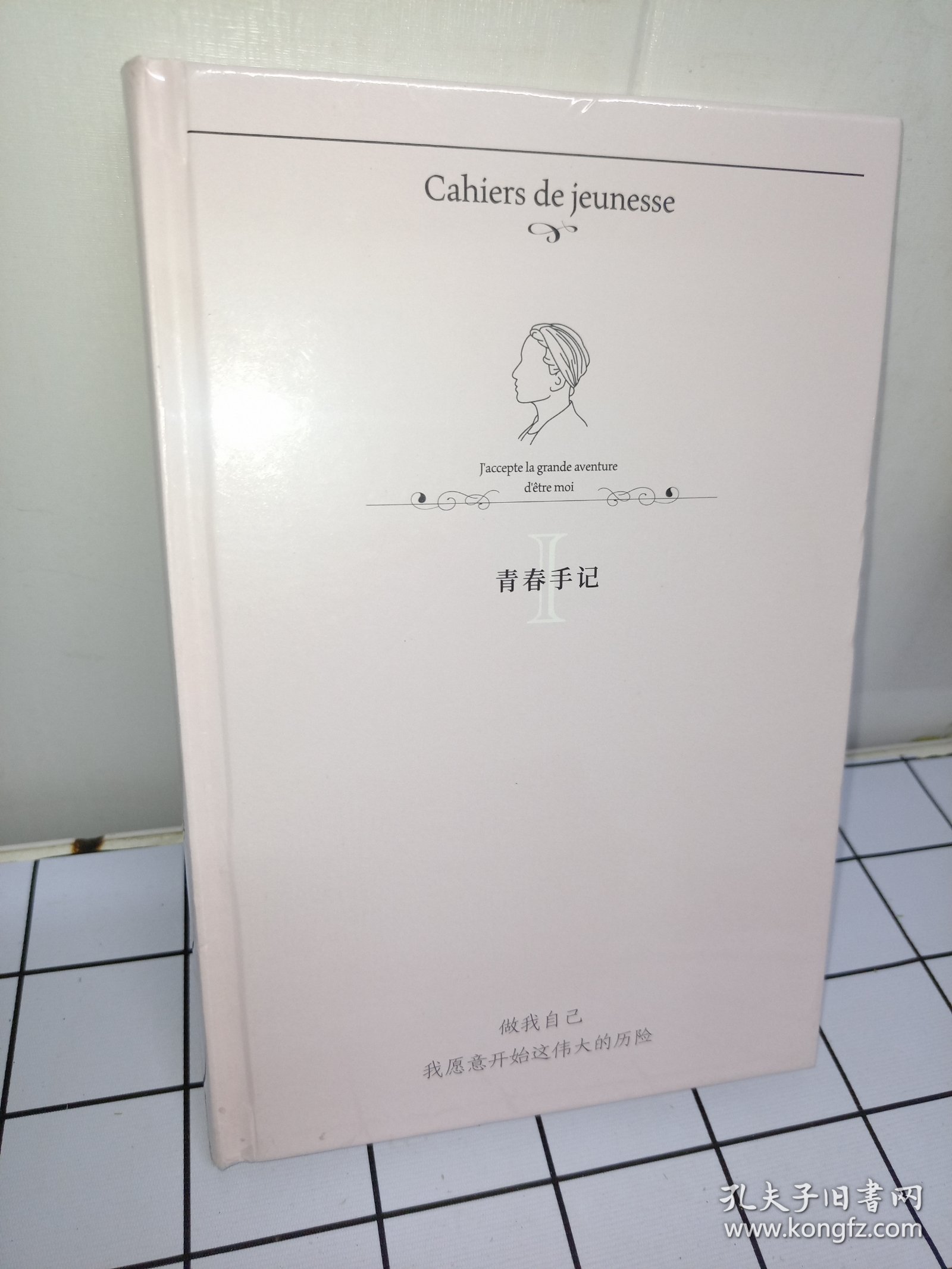 青春手记（笔记本）