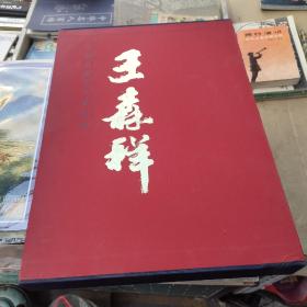 中国近现代名家画集 王森祥