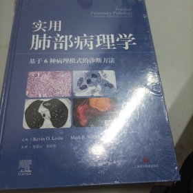 实用肺部病理学--基于6种病理模式的诊断方法 未拆封