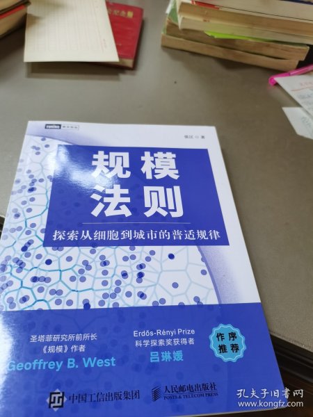 规模法则：探索从细胞到城市的普适规律