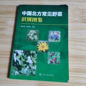 中国北方常见野菜识别图鉴