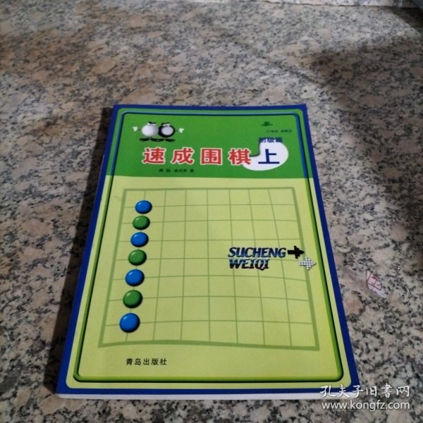 初级篇-速成围棋(上)