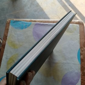 日本庭园集成(坪庭)