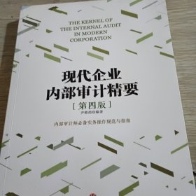 《现代企业内部审计精要》