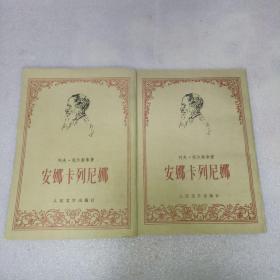 安娜·卡列尼娜 上下册