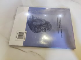 黑猩猩告诉我们：什么是人类