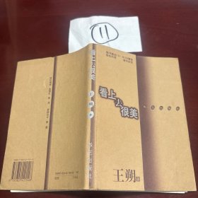 看上去很美