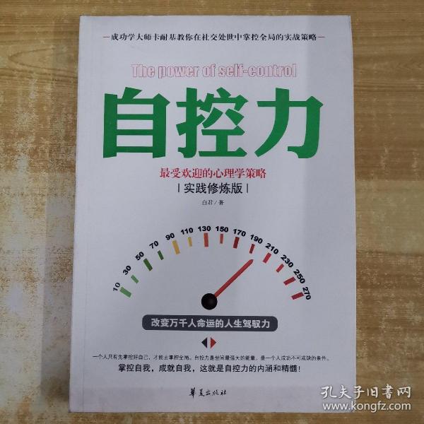 自控力：最受欢迎的心理学策略（实践修炼版）