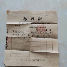 1963年河南省封丘县林权证