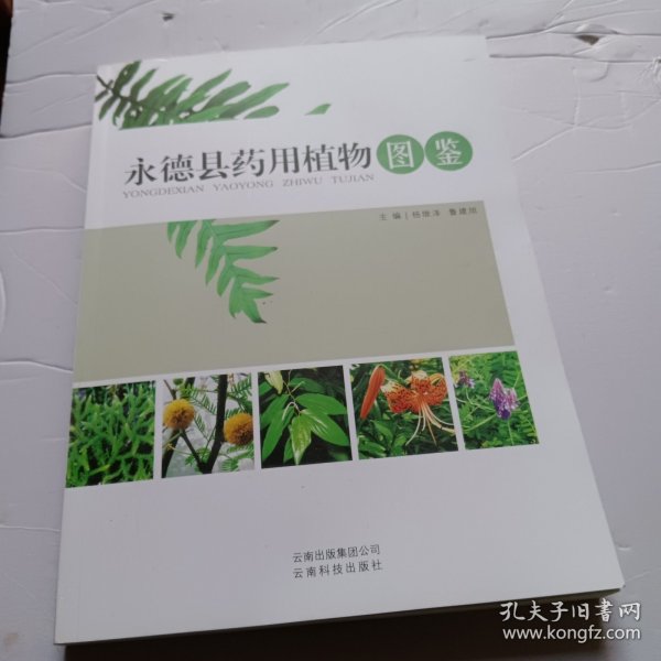 永德县药用植物图鉴