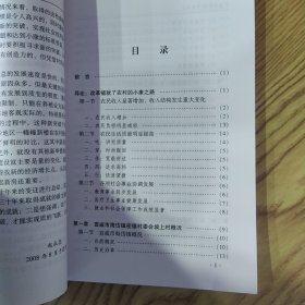 云南农村30年的变迁:以宣威海岱镇坡上村为例(85品大32开2008年1版1印187页16万字)59053