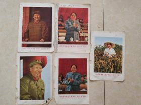 从书上扯下来的毛主席像画片，5张  32开大小