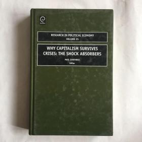 现货 Why Capitalism Survives Crises The Shock Absorbers 为什么资本主义能在危机中幸存下来   精装 库存书