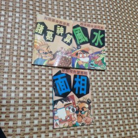 玩命系列--风水玩法、风水玩法、诸葛神算玩法 3册合售