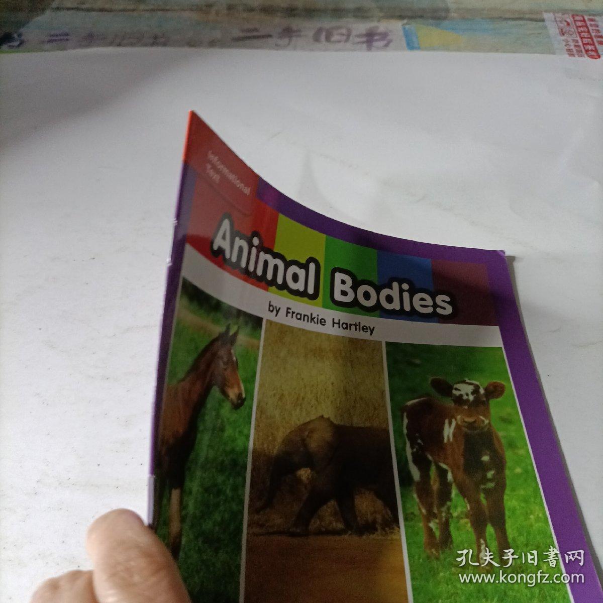 education animal  bodies