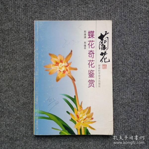 兰花蝶花奇花鉴赏