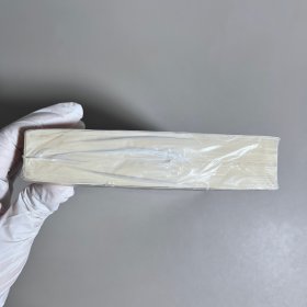 痛苦与狂喜:众神之巅:米开朗基罗传2