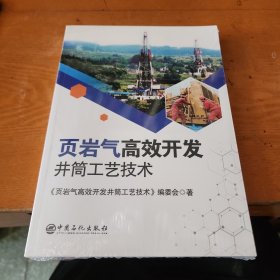 页岩气高效开发井筒工艺技术