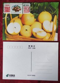 【标价任选其一】2023年辽宁七品之鞍山南果梨标签极限片（原地首日戳）共15个品种（请信息说明）