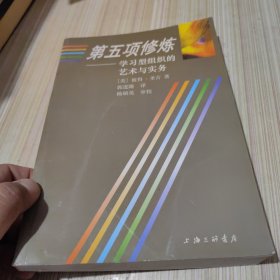 第五项修炼：学习型组织的艺术与实务