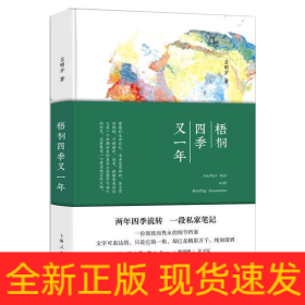 梧桐四季又一年