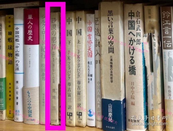 砂漠の聖者 61tp300zxm 砂漠 圣者 沙漠的圣人