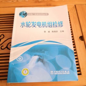 水电厂检修技术丛书：水轮发电机组检修