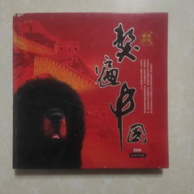 獒遍中国