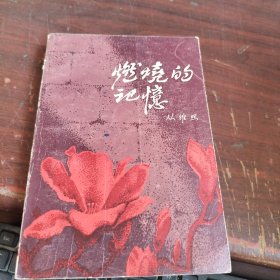 燃烧的记忆 内有水印看图