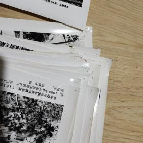 祖国之最(配合国庆宣传稿之一)1984年宣传画+新华社新闻展览照片40张全