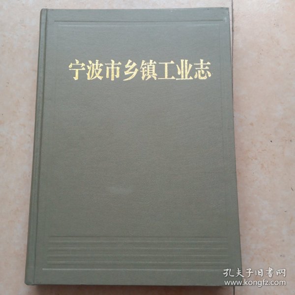 宁波市乡镇工业志