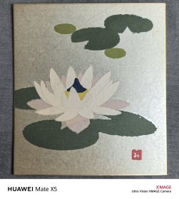 日本回流卡纸，色纸，色卡，老物件，贴纸，水莲。尺寸24*27cm。国内现货直邮，特价78元。