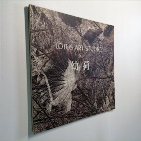 幼荷工作室 康有和画集