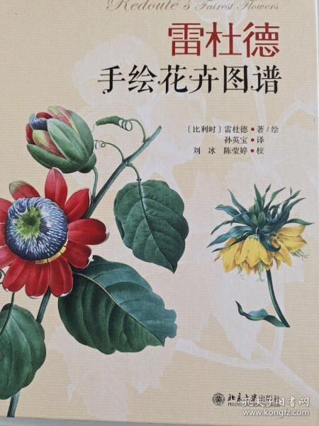 雷杜德手绘花卉图谱