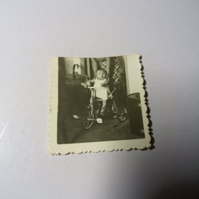 老照片–小男孩坐在玩具三轮车上留影（2）