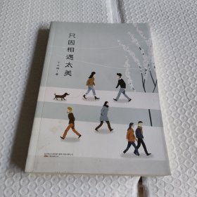 只因相遇太美（“暖心作家”丁立梅散文经典自选集, 中考语文阅读题热点作家）