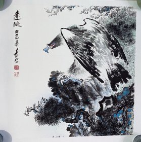 花鸟画，远眺，雄鹰图，真人真迹纯手绘作品，假一赔万，山东省美协张茂钱老师，可让老师合影，尺寸70公分×70公分，四尺斗方，非常有意境的一副大作，雄鹰远眺寓意非常好，高瞻远瞩，宣纸软片已经托底，回家可以直接装框。三分画七分裱，装裱出来效果非常棒的！