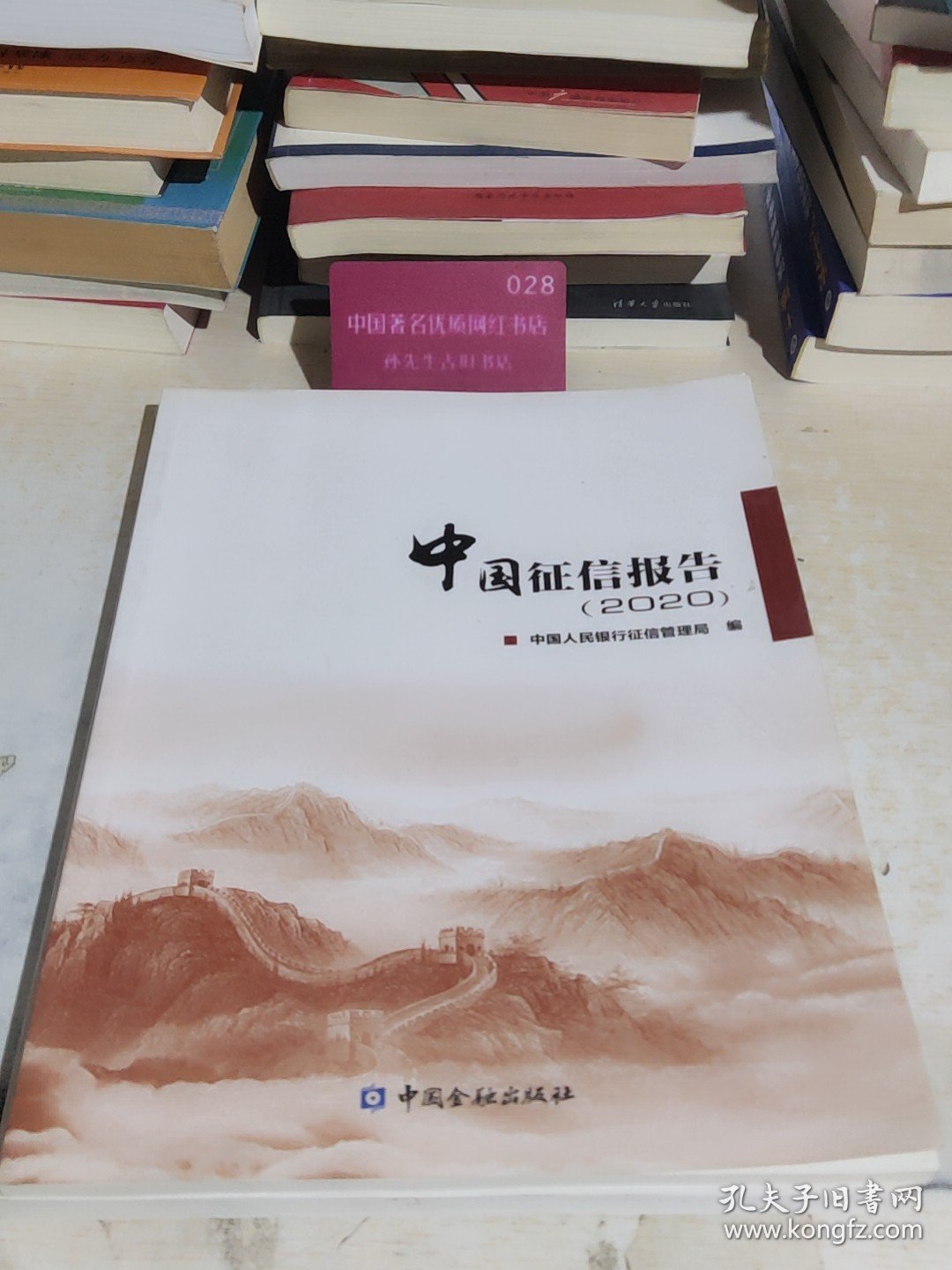 中国征信报告 （2020）