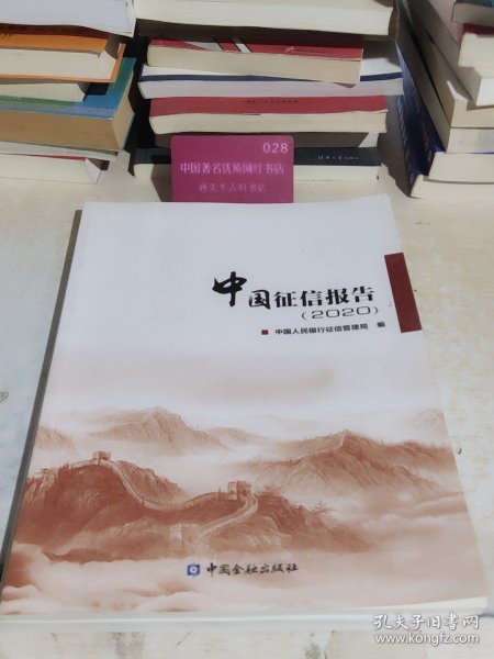 中国征信报告 （2020）