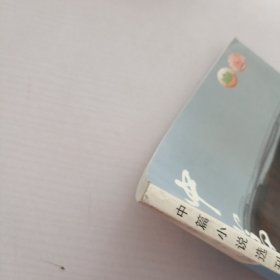 中篇小说选刊.2005年增刊.2