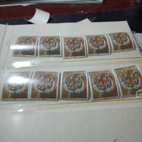 2000年东北虎邮票10枚