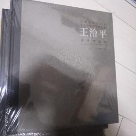 内蒙古师范大学美术学院教师美术作品集（王治平）没开封