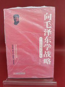 向毛泽东学战略