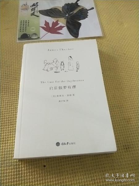 白日做梦有理