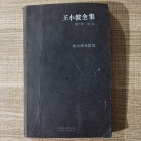 王小波全集（第二卷 杂文）：我的精神家园