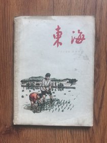 东海1964年4
